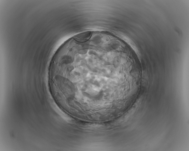 X0000110991187200907022110
