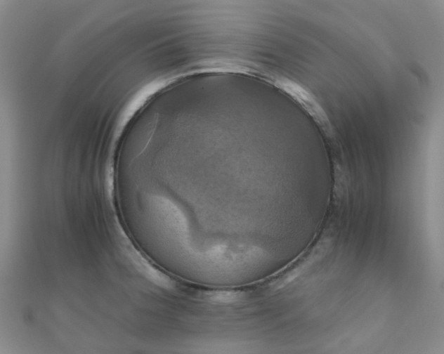 X0000110991188200907022110