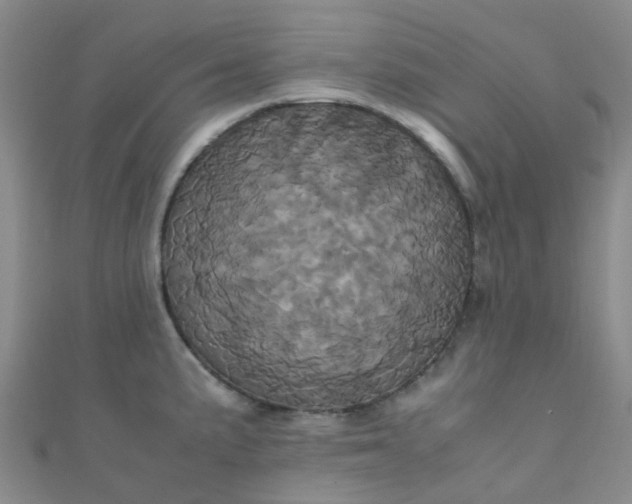 X0000110991191200907022110