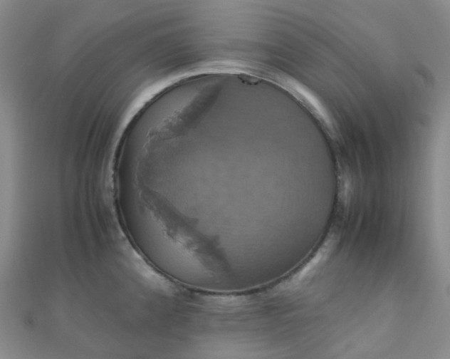 X0000110991192200907022110