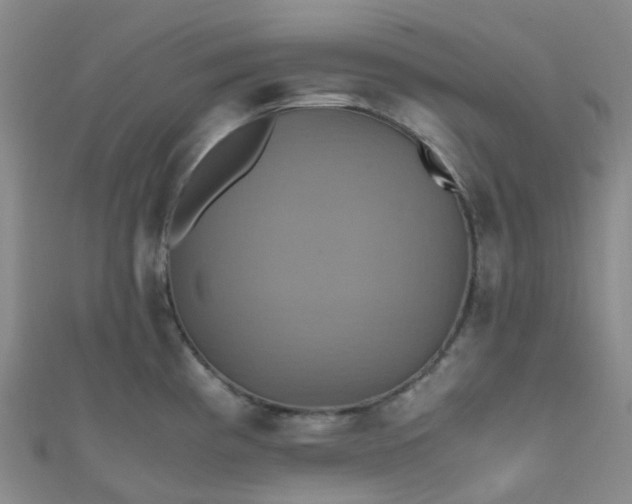 X0000110991193200907022110