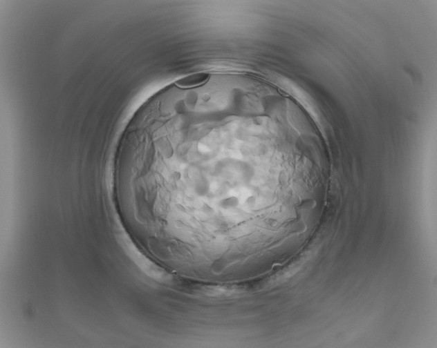 X0000110991195200907022110