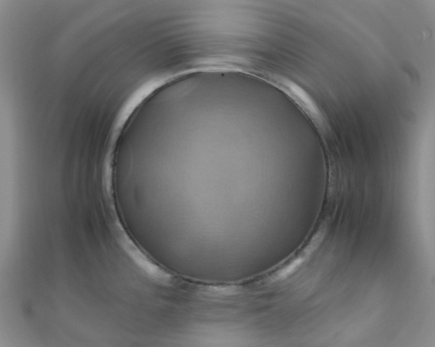 X0000110991196200907022110