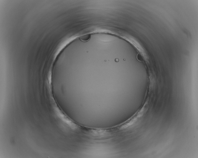 X0000110991198200907022110