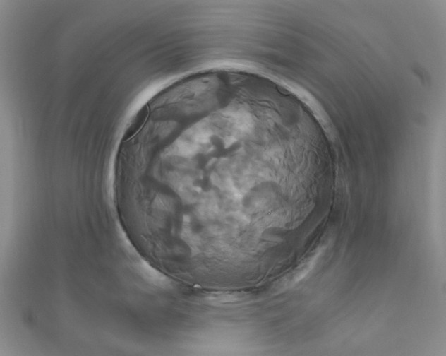 X0000110991199200907022110