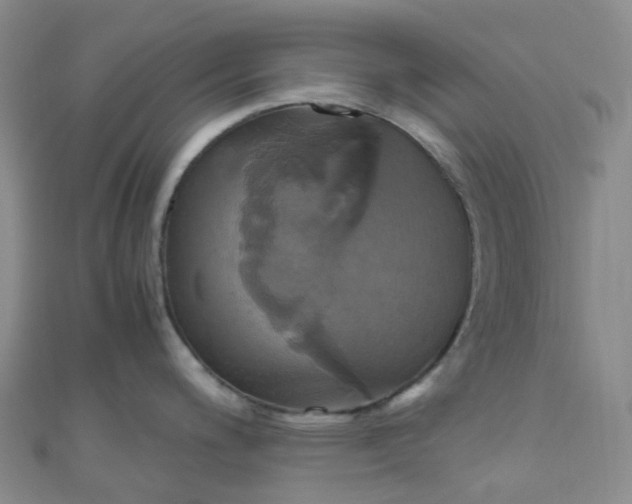 X0000110991200200907022110
