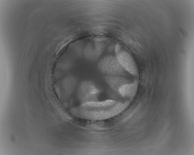 X0000110991201200907022110