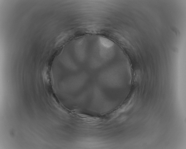 X0000110991202200907022110