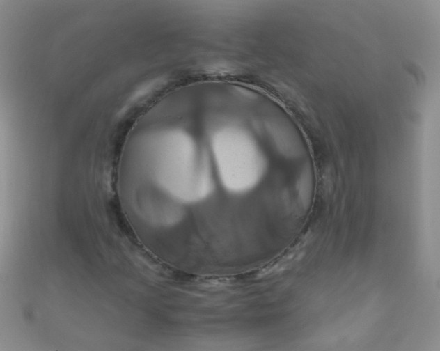 X0000110991205200907022110