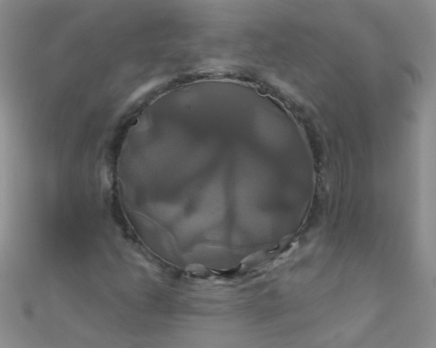 X0000110991206200907022110