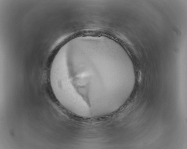 X0000110991208200907022110