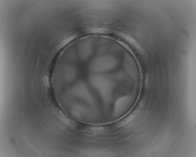 X0000110991209200907022110