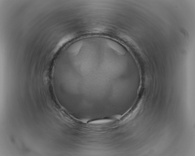 X0000110991210200907022110