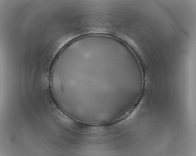 X0000110991212200907022110