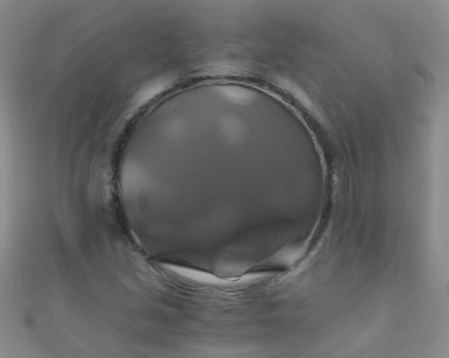 X0000110991213200907022110