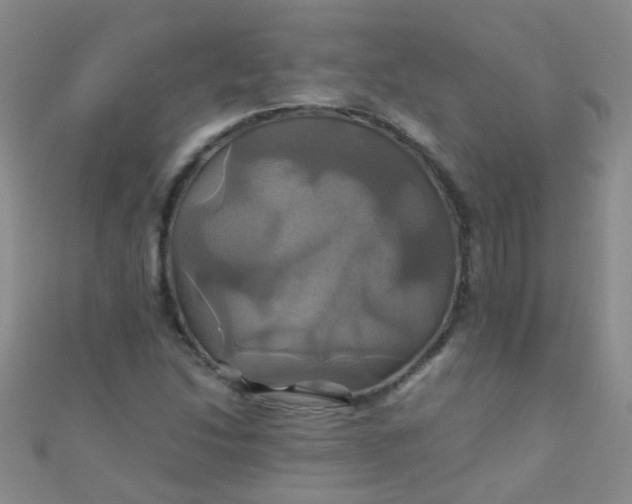 X0000110991214200907022110