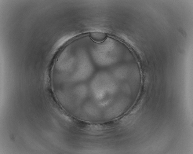 X0000110991215200907022110