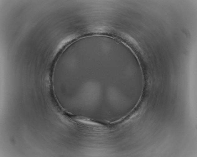 X0000110991218200907022110