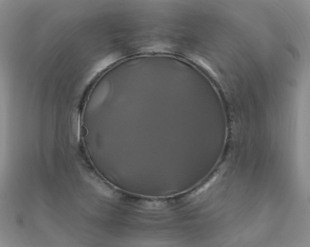 X0000110991219200907022110