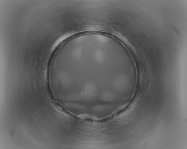 X0000110991222200907022110