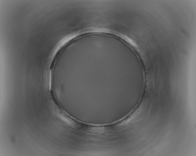 X0000110991223200907022110