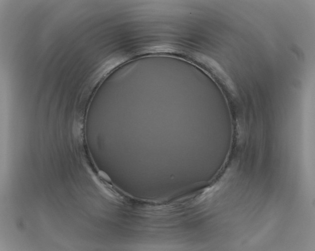 X0000110991225200907022110