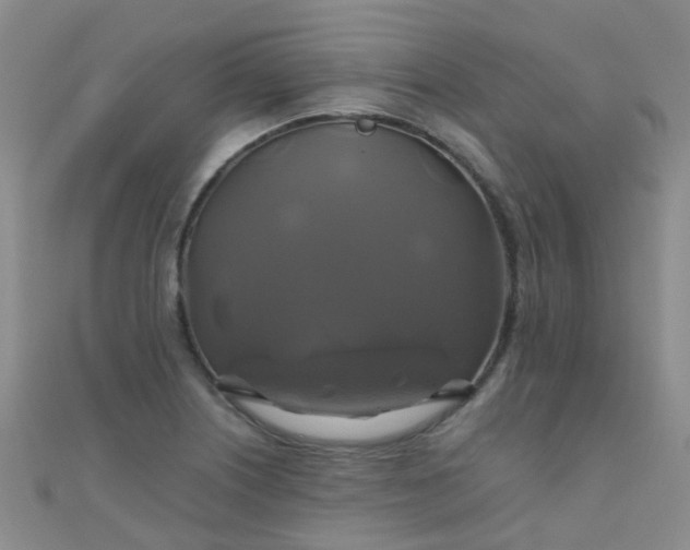 X0000110991226200907022110