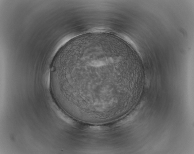 X0000110991227200907022110