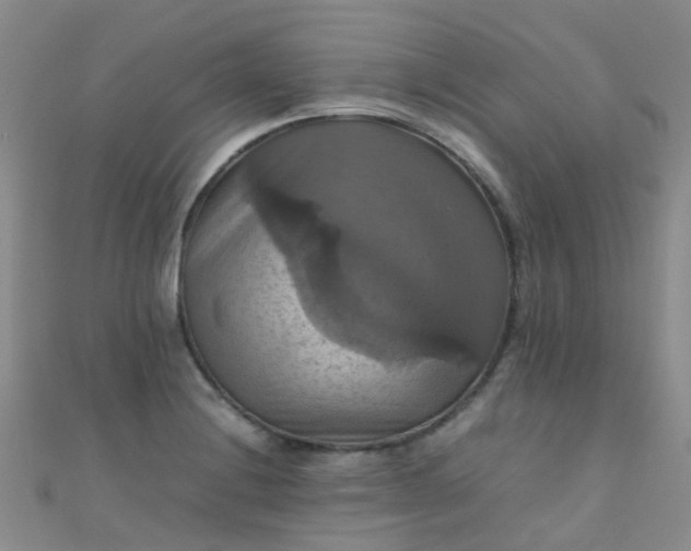 X0000110991228200907022110