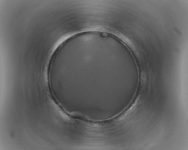 X0000110991230200907022110