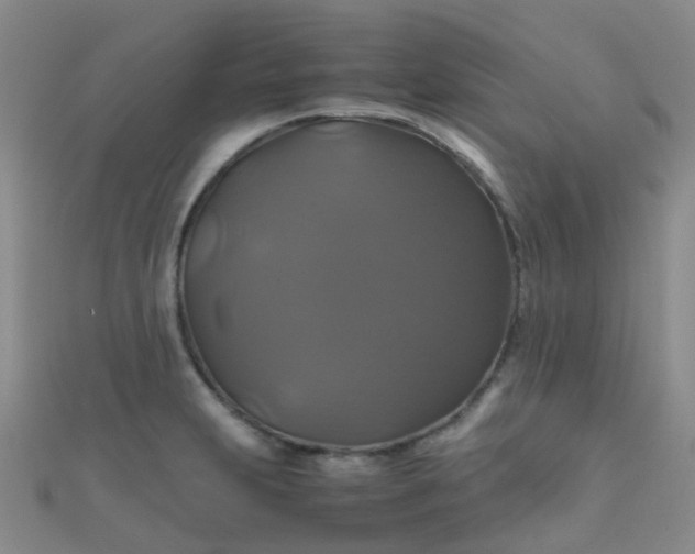 X0000110991231200907022110