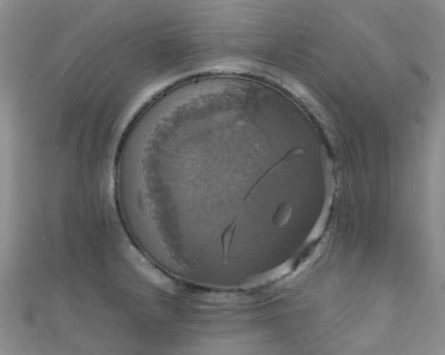 X0000110991232200907022110