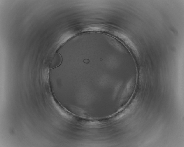 X0000110991233200907022110