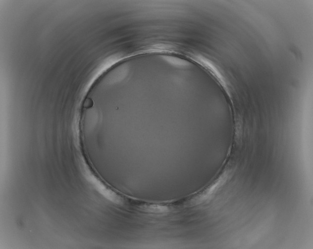 X0000110991235200907022110