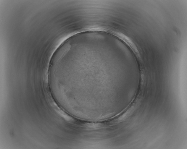 X0000110991236200907022110