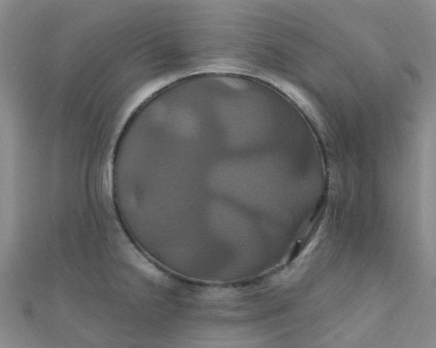 X0000110991238200907022110