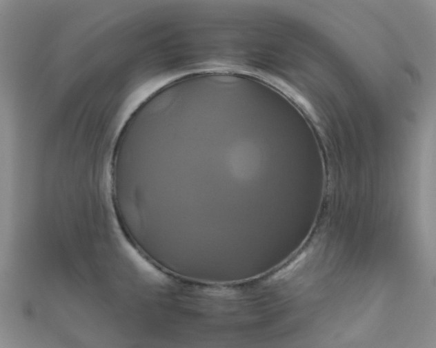 X0000110991239200907022110