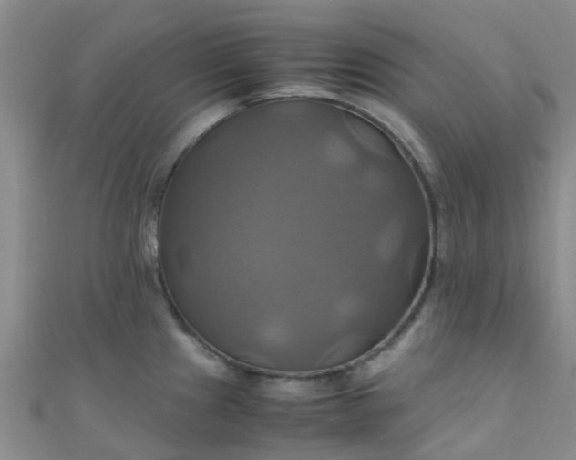 X0000110991241200907022110