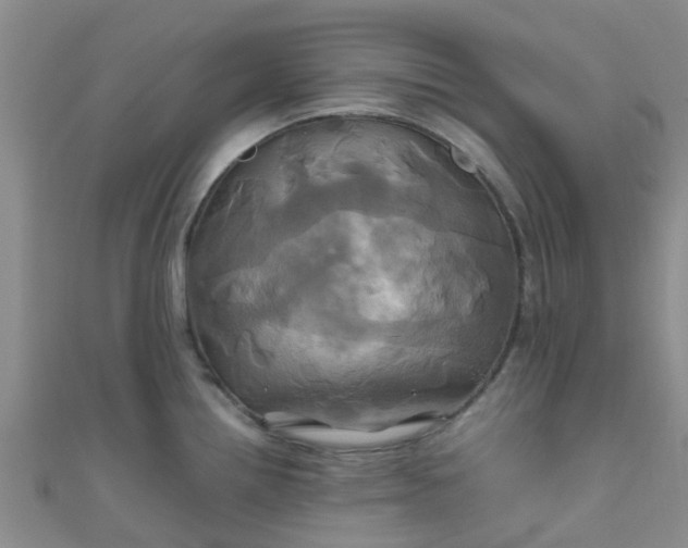 X0000110991242200907022110
