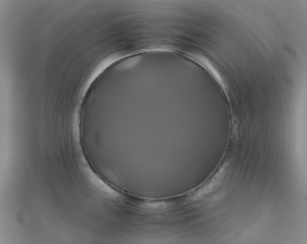 X0000110991243200907022110