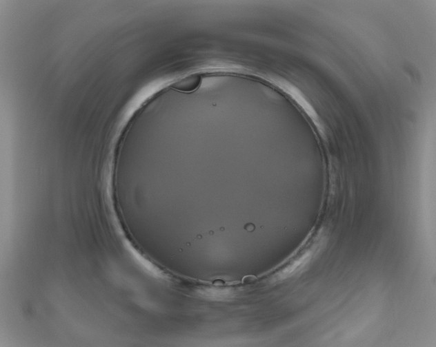 X0000110991245200907022110