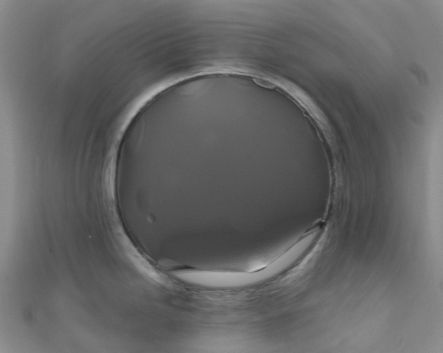 X0000110991246200907022110