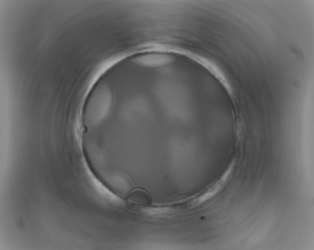 X0000110991247200907022110