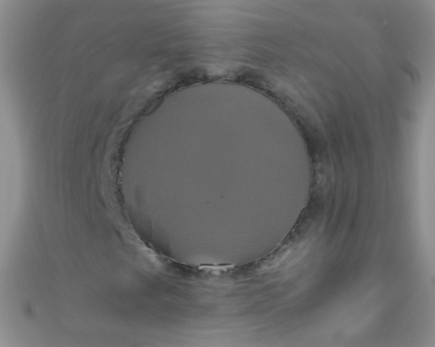 X0000110991249200907022110
