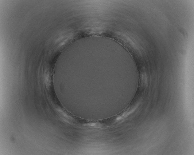 X0000110991250200907022110
