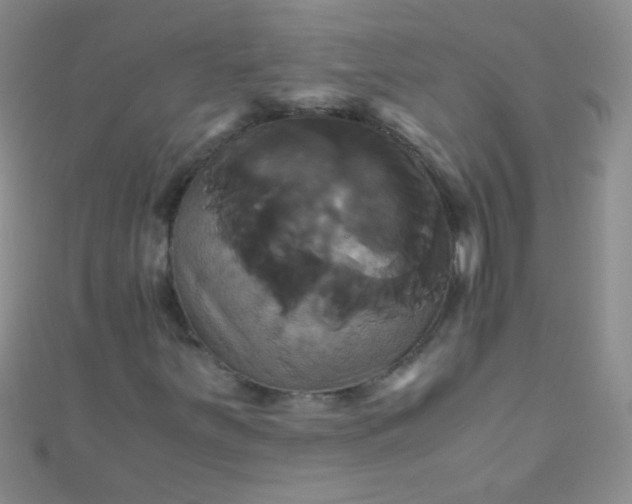 X0000110991251200907022109