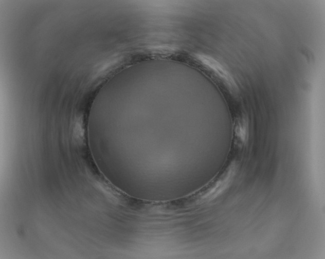 X0000110991252200907022109