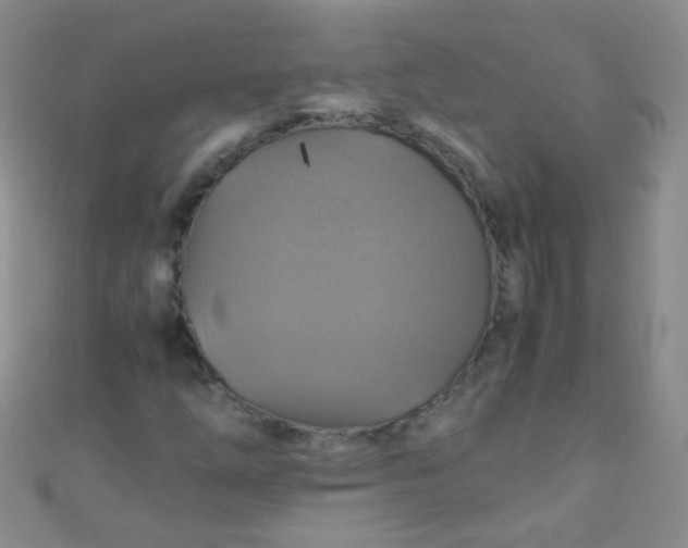 X0000110991254200907022109