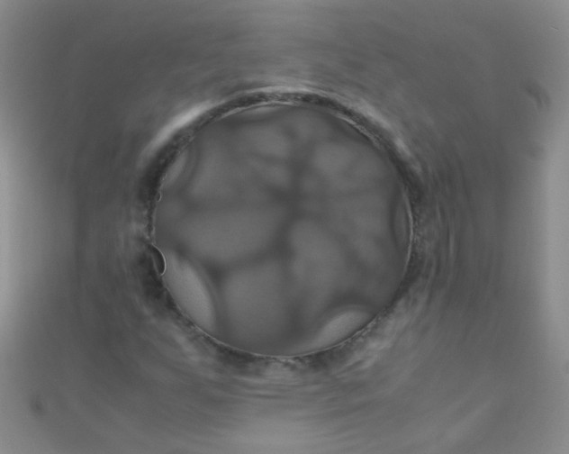X0000110991255200907022109
