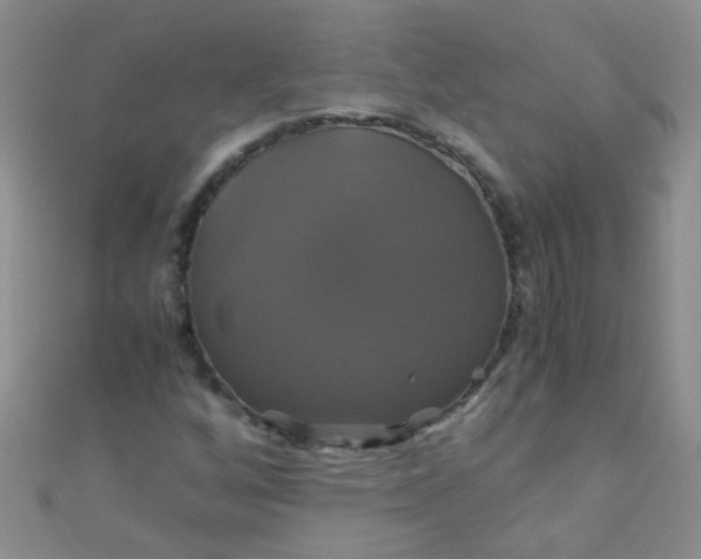 X0000110991256200907022109